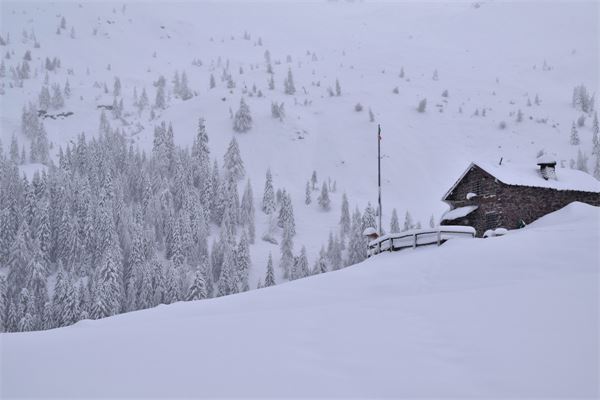 Piani dell’Avaro (BG)