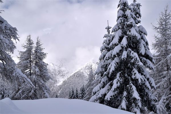 Piani dell’Avaro (BG)
