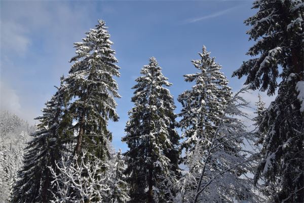 Piani dell’Avaro (BG)