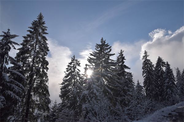 Piani dell’Avaro (BG)