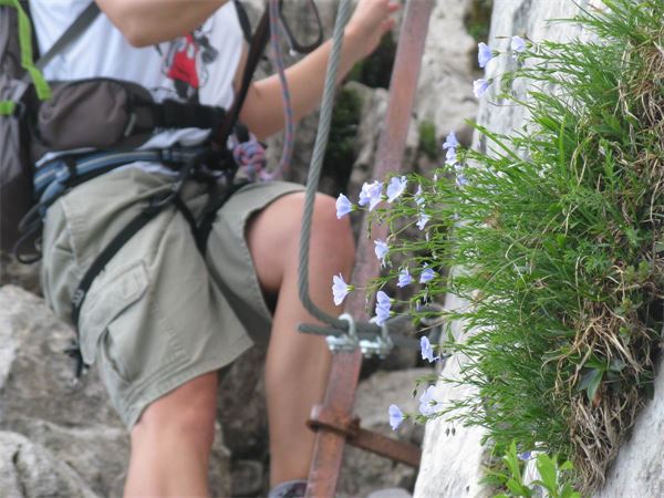 Sentiero della porta - Presolana (BG)