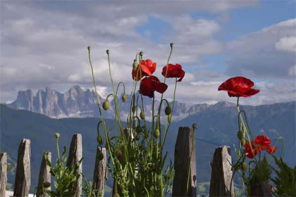 Punta Quaira (BZ)