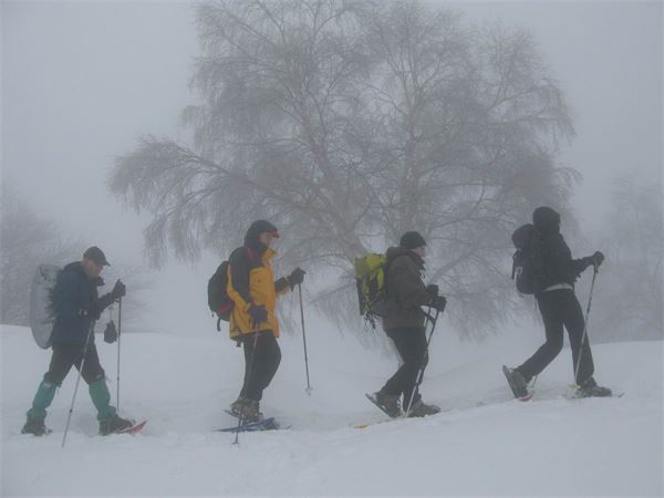 Monte Palanzone (CO)