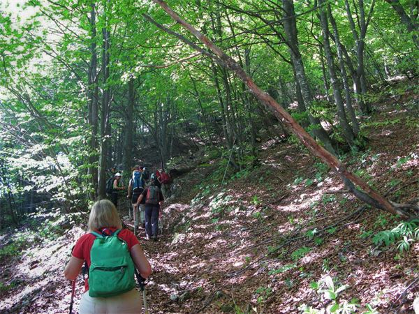 Il Resegone da Morterone (LC)