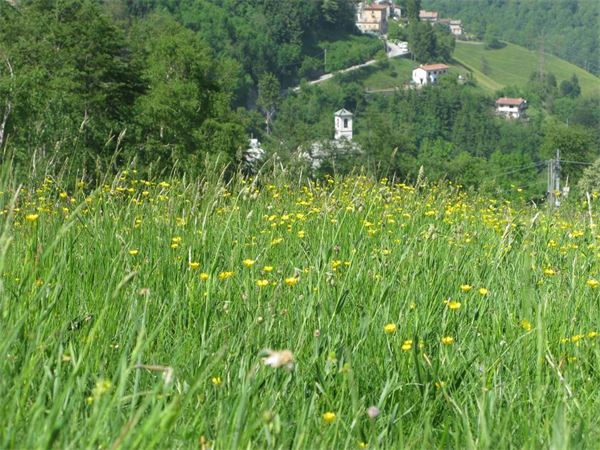 Il Resegone da Morterone (LC)