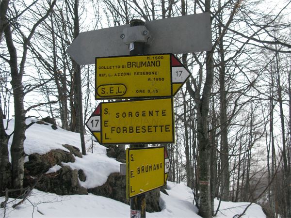 Monte Resegone (LC)
