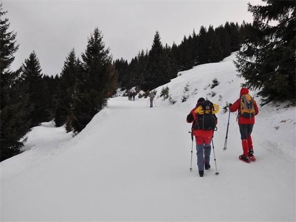 Monte Pora (BG)