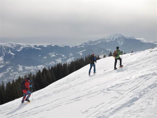 Monte Pora (BG)