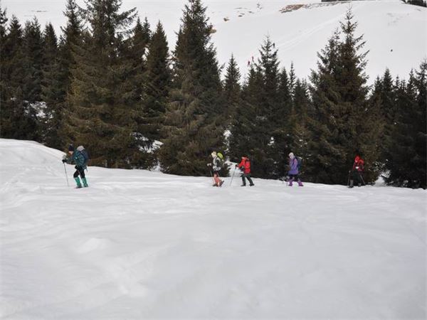 Monte Pora (BG)
