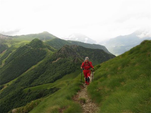 Rif. Grassi (BG)