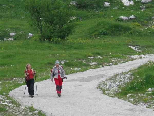 Rif. Grassi (BG)
