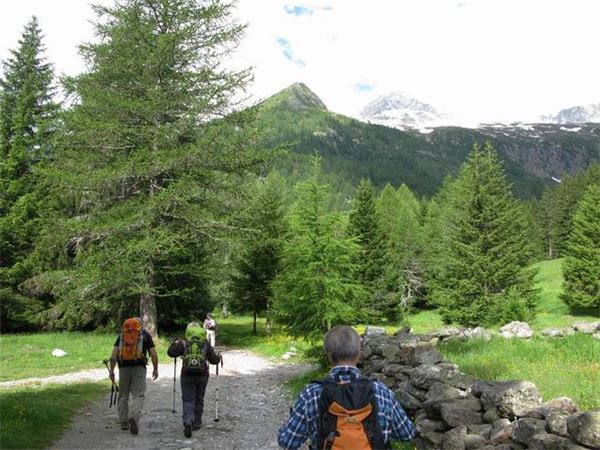Rif. Del Grande-Camerini (SO)