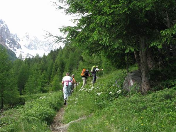 Rif. Del Grande-Camerini (SO)