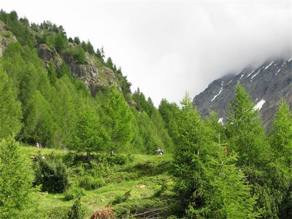 Rif. Del Grande-Camerini (SO)