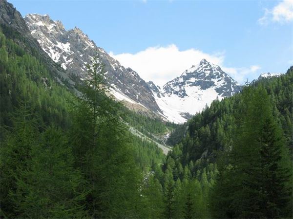 Rif. Del Grande-Camerini (SO)