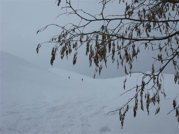 Pizzo Baciamorti (BG)