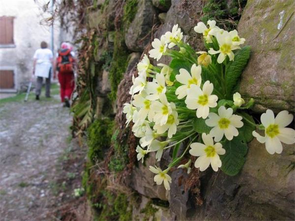 Sasso Gordona (LC)