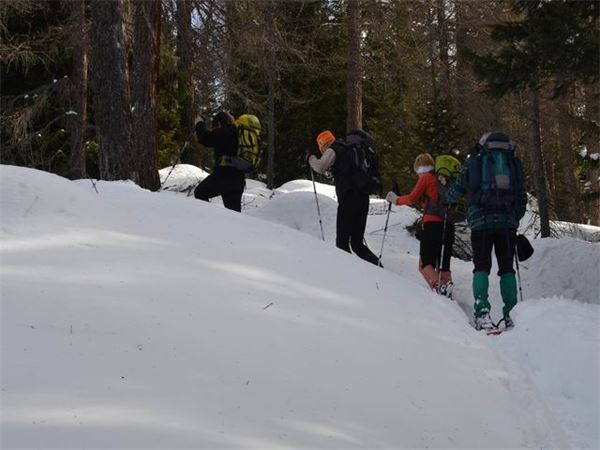 Rif. Ca Runcasch-Valmalenco (SO)