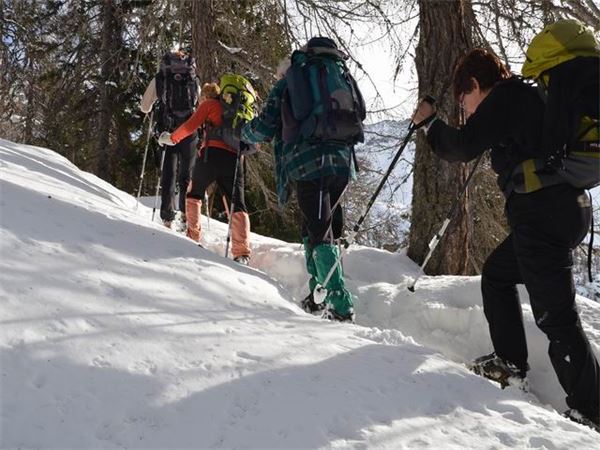 Rif. Ca Runcasch-Valmalenco (SO)