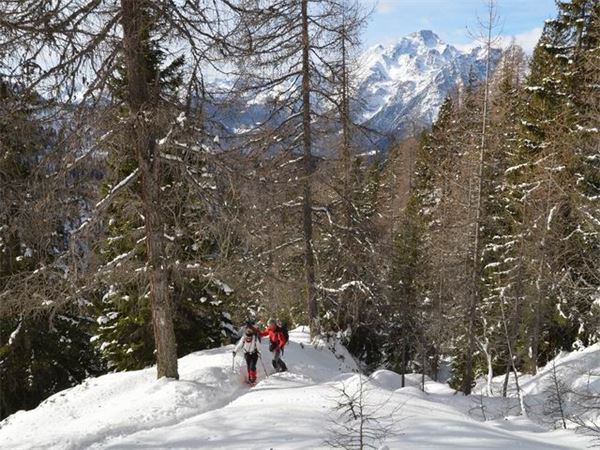Rif. Ca Runcasch-Valmalenco (SO)