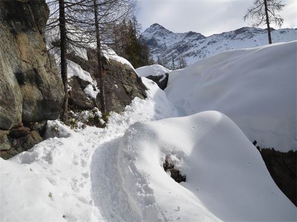 Rif. Ca Runcasch-Valmalenco (SO)