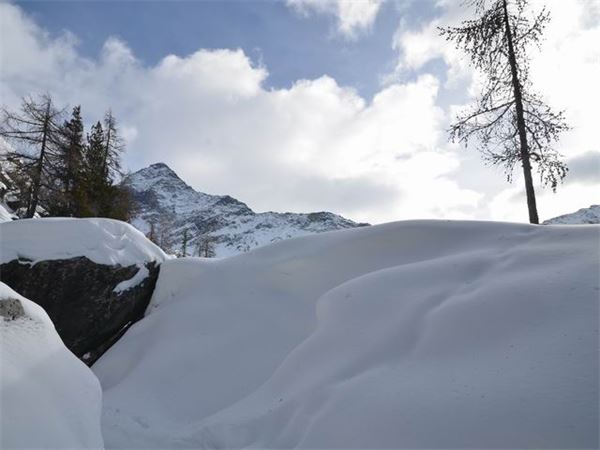 Rif. Ca Runcasch-Valmalenco (SO)