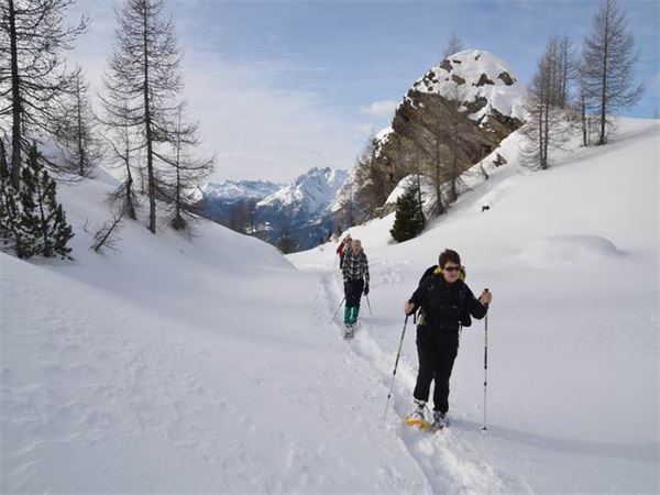 Rif. Ca Runcasch-Valmalenco (SO)