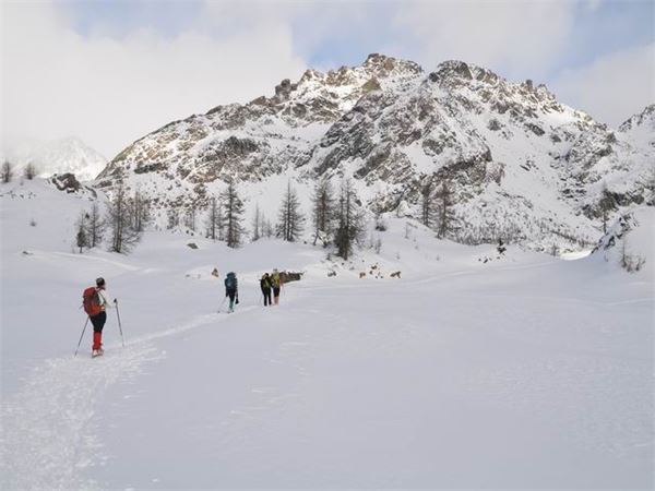 Rif. Ca Runcasch-Valmalenco (SO)