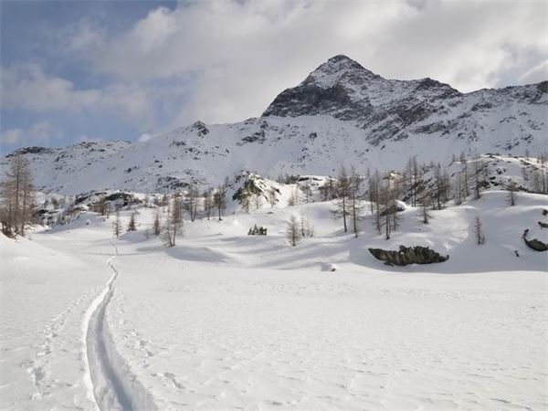 Rif. Ca Runcasch-Valmalenco (SO)