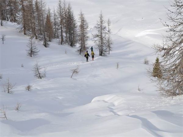 Rif. Ca Runcasch-Valmalenco (SO)