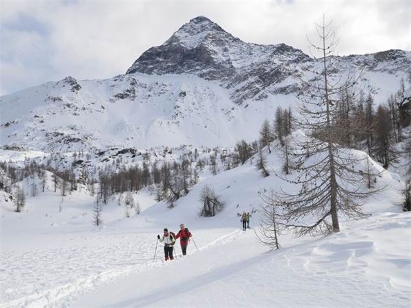 Rif. Ca Runcasch-Valmalenco (SO)