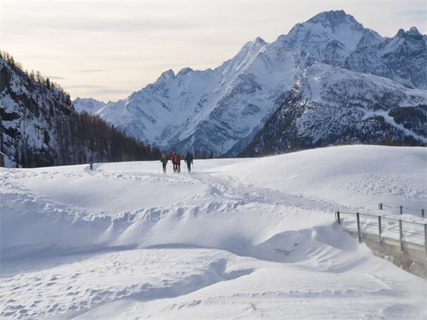Rif. Ca Runcasch-Valmalenco (SO)