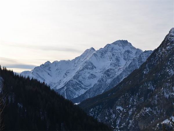 Rif. Ca Runcasch-Valmalenco (SO)