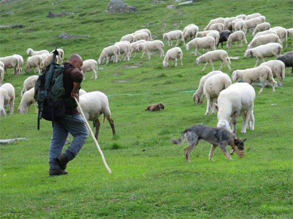 Rif. V. Sella - P. N. Gran Paradiso (AO)