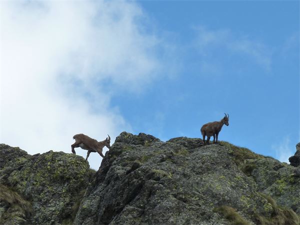 Rifugio Benigni (SO)
