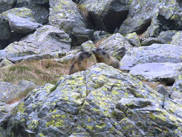 Rifugio Benigni (SO)
