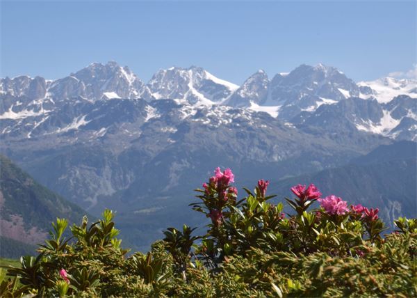 Rifugio Bosio (SO)