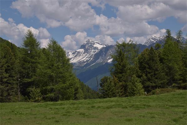 Rifugio Bosio (SO)