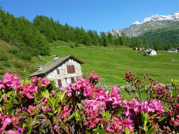 Rifugio Bosio (SO)