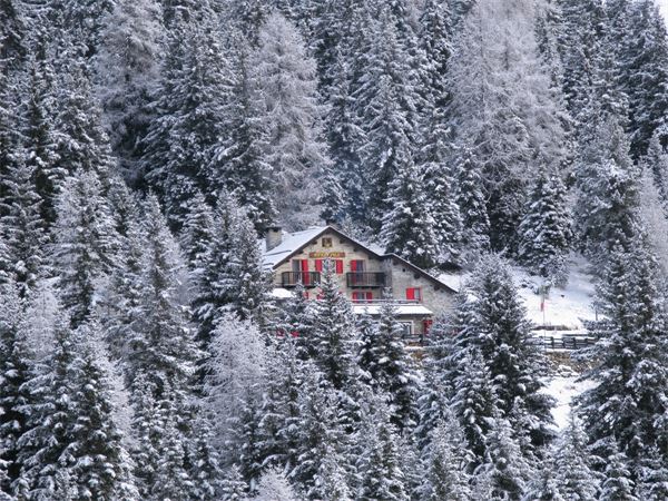 Rif. Lago Palù – Valmalenco (SO)