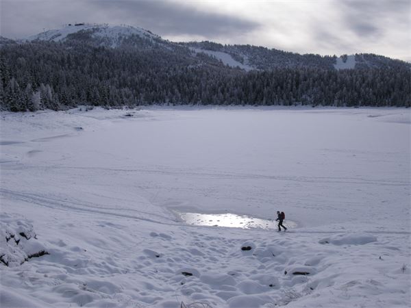 Rif. Lago Palù – Valmalenco (SO)