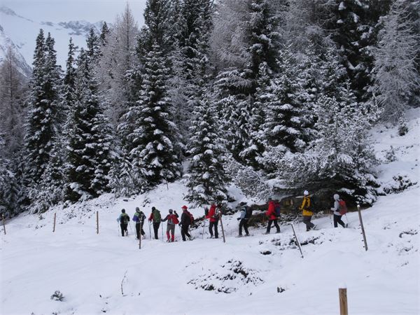 Rif. Lago Palù – Valmalenco (SO)