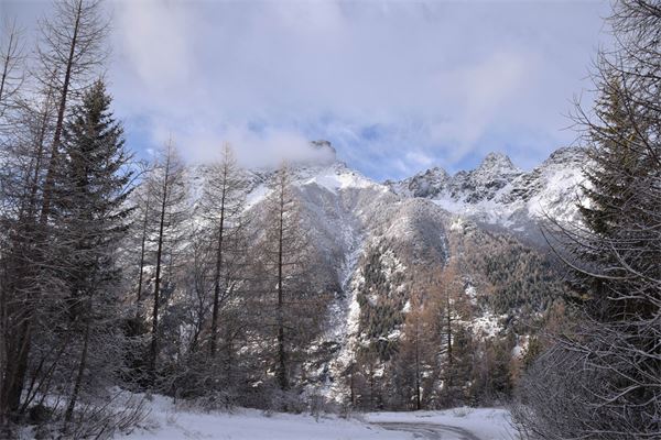 Rif. Lago Palù – Valmalenco (SO)