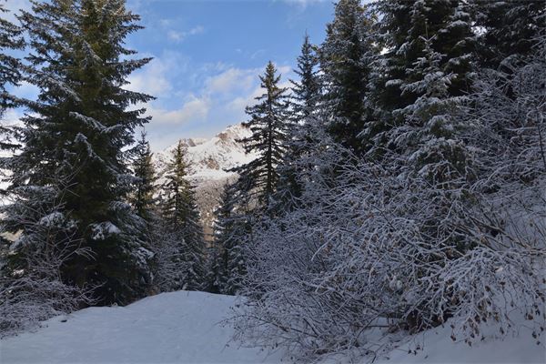 Rif. Lago Palù – Valmalenco (SO)