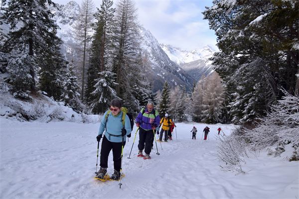 Rif. Lago Palù – Valmalenco (SO)