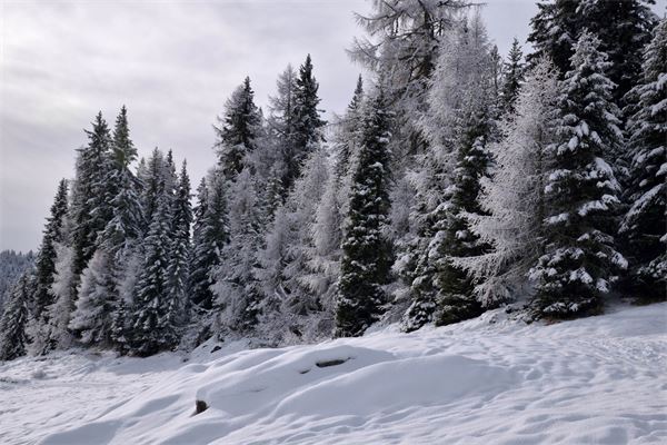 Rif. Lago Palù – Valmalenco (SO)