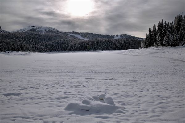 Rif. Lago Palù – Valmalenco (SO)