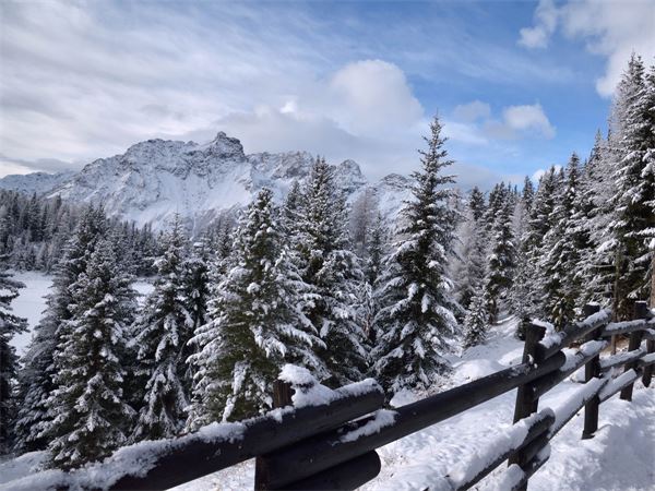 Rif. Lago Palù – Valmalenco (SO)