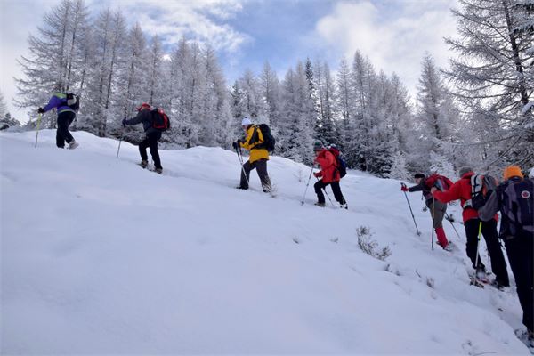 Rif. Lago Palù – Valmalenco (SO)