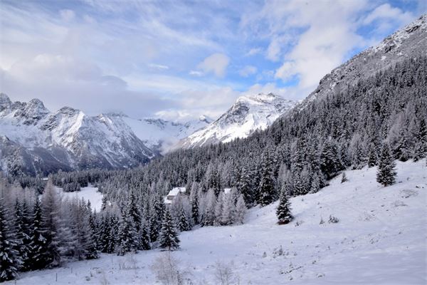 Rif. Lago Palù – Valmalenco (SO)
